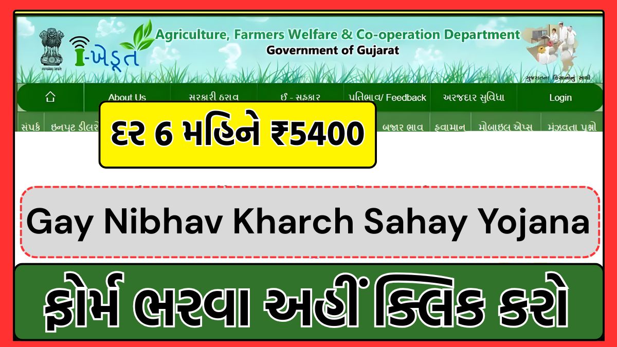Gay Sahay Yojana Gujarat