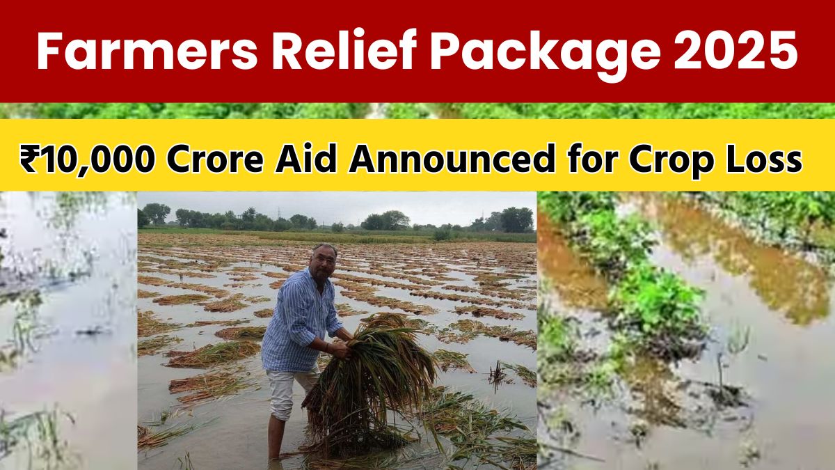 Gujarat Farmers Relief Package